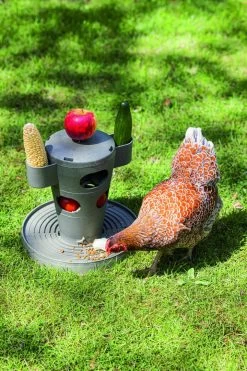 Beeztees Snacktoren Kip Grijs -Huisdier Verkoop Winkel 0018250 sfeer4