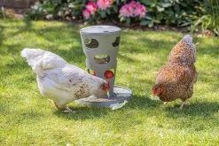 Beeztees Voertoren Kip Grijs 5 Beeztees Voertoren Kip Grijs -Huisdier Verkoop Winkel 0018251 sfeer6