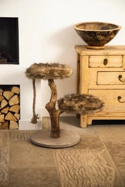 Designed By Lotte Krabpaal Aviva -Huisdier Verkoop Winkel 0408865 sfeer1