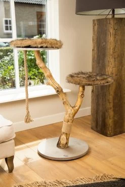 Designed By Lotte Krabpaal Elora -Huisdier Verkoop Winkel 0408866 sfeer1