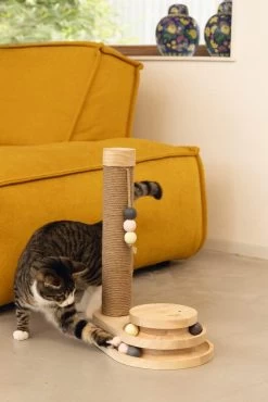 Designed By Lotte Krabpaal Inez -Huisdier Verkoop Winkel 0409150 sfeer1