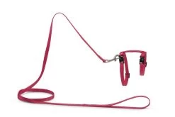 Beeztees Kattentuig Uni Met Lijn -Huisdier Verkoop Winkel 0730480