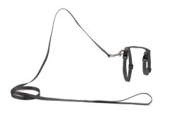 Beeztees Kattentuig Uni Met Lijn -Huisdier Verkoop Winkel 0730482