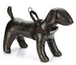 Beeztees Premium Borsttuig Parinca Zwart