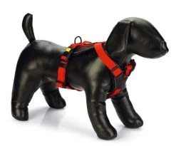 Beeztees Premium <br>Y-Tuig Parinca Rood