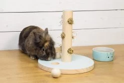 Beeztees Speeltoren Hayra Mint -Huisdier Verkoop Winkel 0811114 sfeer1