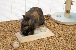 Beeztees Braingame Ballira Mint -Huisdier Verkoop Winkel 0811115 sfeer1