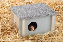 Beeztees Knaagdier Koelhuisje Cico <br>15 X 13 X 9 Cm -Huisdier Verkoop Winkel 0811158 sfeer1