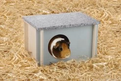 Beeztees Knaagdier Koelhuisje Cico <br>26 X 18 X 16 Cm -Huisdier Verkoop Winkel 0811159 sfeer1