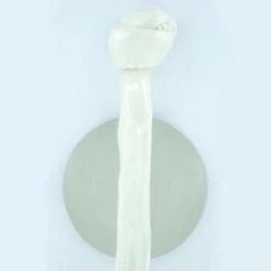 Landman Witte Knoop 62 Cm 1 St