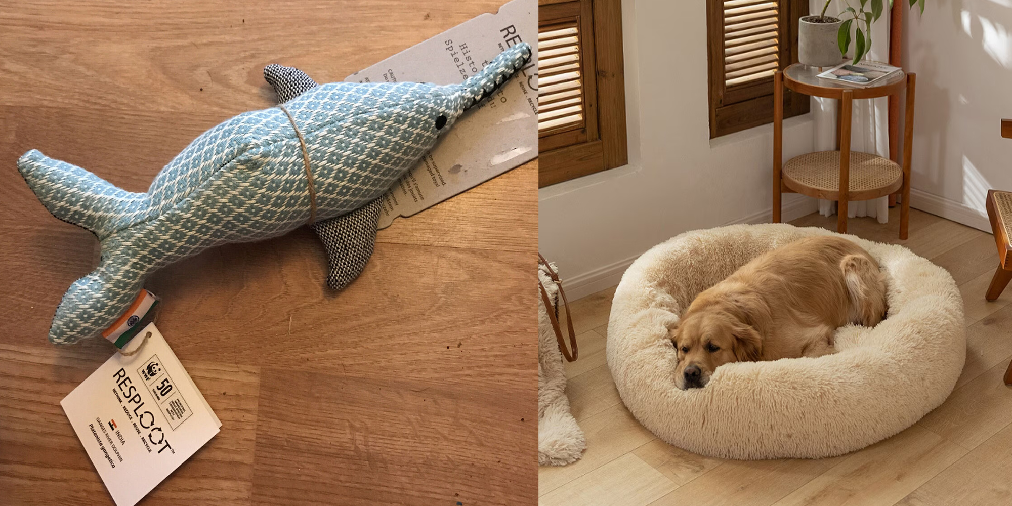 Huisdier Verkoop Winkel 1 Huisdier Verkoop Winkel -Huisdier Verkoop Winkel 16