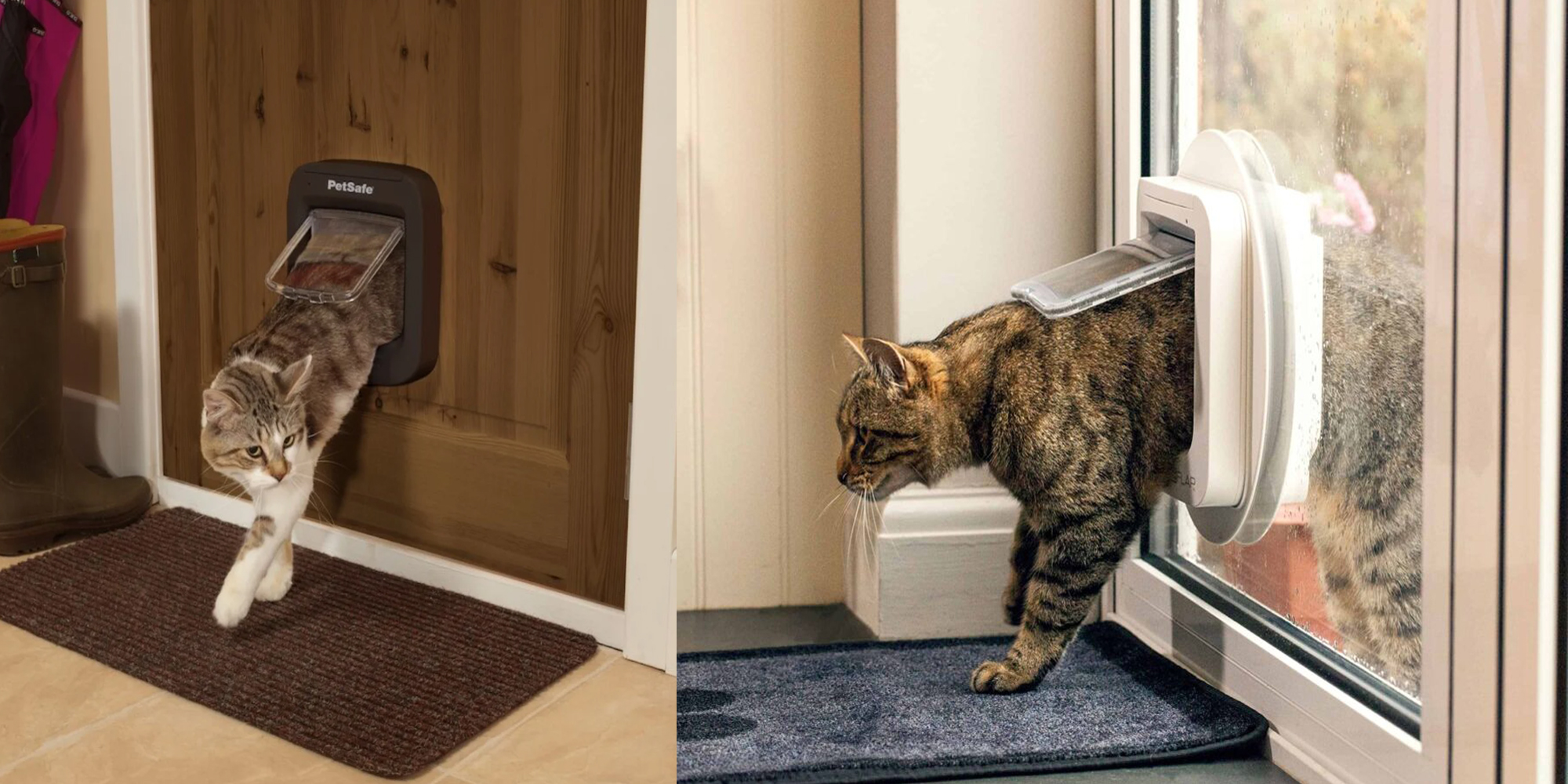 Huisdier Verkoop Winkel 2 Huisdier Verkoop Winkel -Huisdier Verkoop Winkel 17