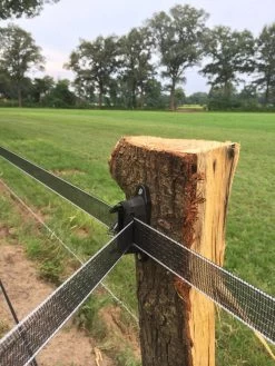 Excellent Isolator Lint Dura-klem Tot 40 Mm -Huisdier Verkoop Winkel 17859