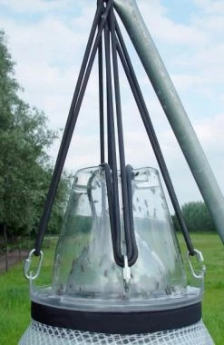 Dazenval Loer Ophangring Los