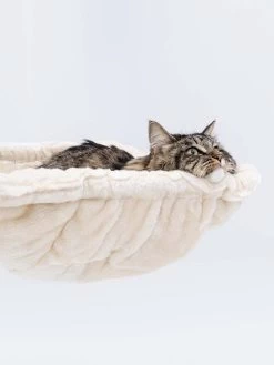 Petrebels Krabmeubel Lucky Bastards Parklane 131 Cream -Huisdier Verkoop Winkel 431357 Parklane 131 7