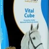EquiFirst Vital Cube <br>20 Kg