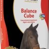 EquiFirst Balance Cube 20 Kg