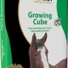 EquiFirst Growing Cube 20 Kg