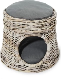 Huisdier Verkoop Winkel 20 51 Degrees North Kattenpoef Damar