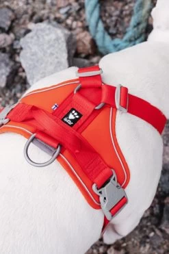 Hurtta Harnas Weekend Warrior Eco Rosehip -Huisdier Verkoop Winkel 6410329334344 b