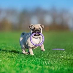 Ferplast Puller 2 St -Huisdier Verkoop Winkel 8010690183008 5.5