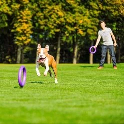 Ferplast Puller 2 St -Huisdier Verkoop Winkel 8010690183039 8.8