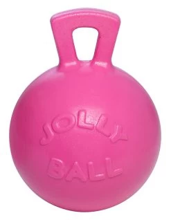 Jolly Ball Met Geur <br>25 Cm -Huisdier Verkoop Winkel 8170