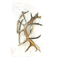 Landman Rendiergewei L: 150-225 Gr