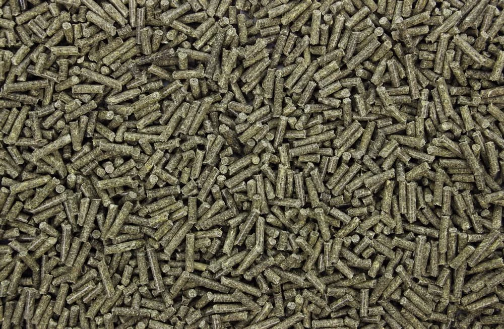 Caviakorrels 4,5 Kg 2 Caviakorrels 4,5 Kg - Afbeelding 2