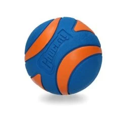 Chuckit! Ultra Squeaker Ball XL