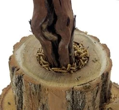 ESVE Scharrelboom Krielkip 4 ESVE Scharrelboom Krielkip -Huisdier Verkoop Winkel E20702 DET3