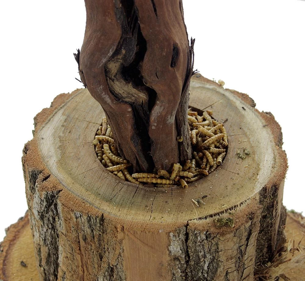 ESVE Scharrelboom Krielkip 2 ESVE Scharrelboom Krielkip - Afbeelding 2