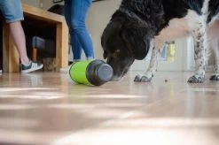 Eat Slow Live Longer Feed And Treat Groen 6 Eat Slow Live Longer Feed And Treat Groen -Huisdier Verkoop Winkel Eat Slow Live Longer Feed and Treat grijs