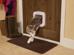PetSafe Microchip Kattenluik Cat Flap Wit -Huisdier Verkoop Winkel Lifestyle02