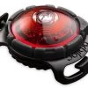 Orbiloc Safety Light Dog Dual Rood