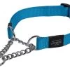 Rogz Sliphalsband Utility Turquoise