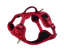 Rogz Hondentuig Utility Explore Rood