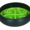Eat Slow Live Longer Tumble Feeder Green