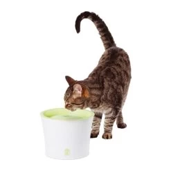 Catit Drinkfontein 3 Ltr