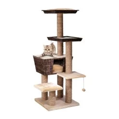 Ebi Krabpaal Curacao