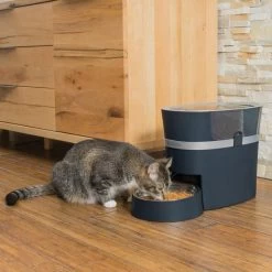 PetSafe Staywell Voederautomaat Smartfeed -Huisdier Verkoop Winkel petsafe voederautomaat smart feed voor hond en kat 1