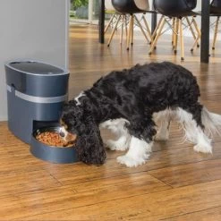 PetSafe Staywell Voederautomaat Smartfeed -Huisdier Verkoop Winkel petsafe voederautomaat smart feed voor hond en kat 3