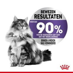 Royal Canin Kattenvoer Appetite Control Care <br>2 Kg -Huisdier Verkoop Winkel royal canin appetite control care gesteriliseerd volwassen kat bedelgedrag hero image 9