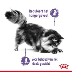Royal Canin Kattenvoer Appetite Control Care <br>2 Kg -Huisdier Verkoop Winkel royal canin appetite control care gesteriliseerd volwassen kat bedelgedrag hero usp