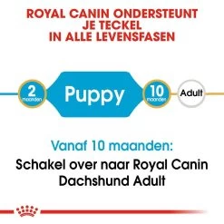Royal Canin Hondenvoer Dachshund Puppy 1,5 Kg -Huisdier Verkoop Winkel royal canin dachshund junior pup hond teckel hero image 9