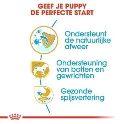 Royal Canin Hondenvoer Dachshund Puppy 1,5 Kg -Huisdier Verkoop Winkel royal canin dachshund junior pup hond teckel hero usp