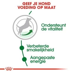Royal Canin Hondenvoer Mini Adult 8+ 2 Kg -Huisdier Verkoop Winkel royal canin mini adult 8plus volwassen hond kleine hondenrassen vanaf 8 jaar hero usp