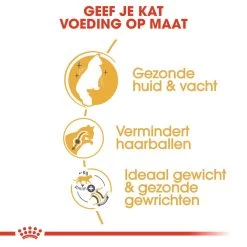 Royal Canin Kattenvoer Norwegian Forest Cat Adult 2 Kg -Huisdier Verkoop Winkel royal canin norwegian forest cat adult volwassen kat noorse boskat hero usp