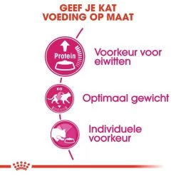 Royal Canin Kattenvoer Protein Exigent 2 Kg -Huisdier Verkoop Winkel royal canin protein exigent volwassen kat kieskeurige katten hero usp