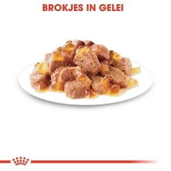 Royal Canin Kattenvoer Sterilised In Jelly <br>12 X 85 Gr -Huisdier Verkoop Winkel royal canin sterilised in jelly volwassen kat castratie sterilisatie hero kibble